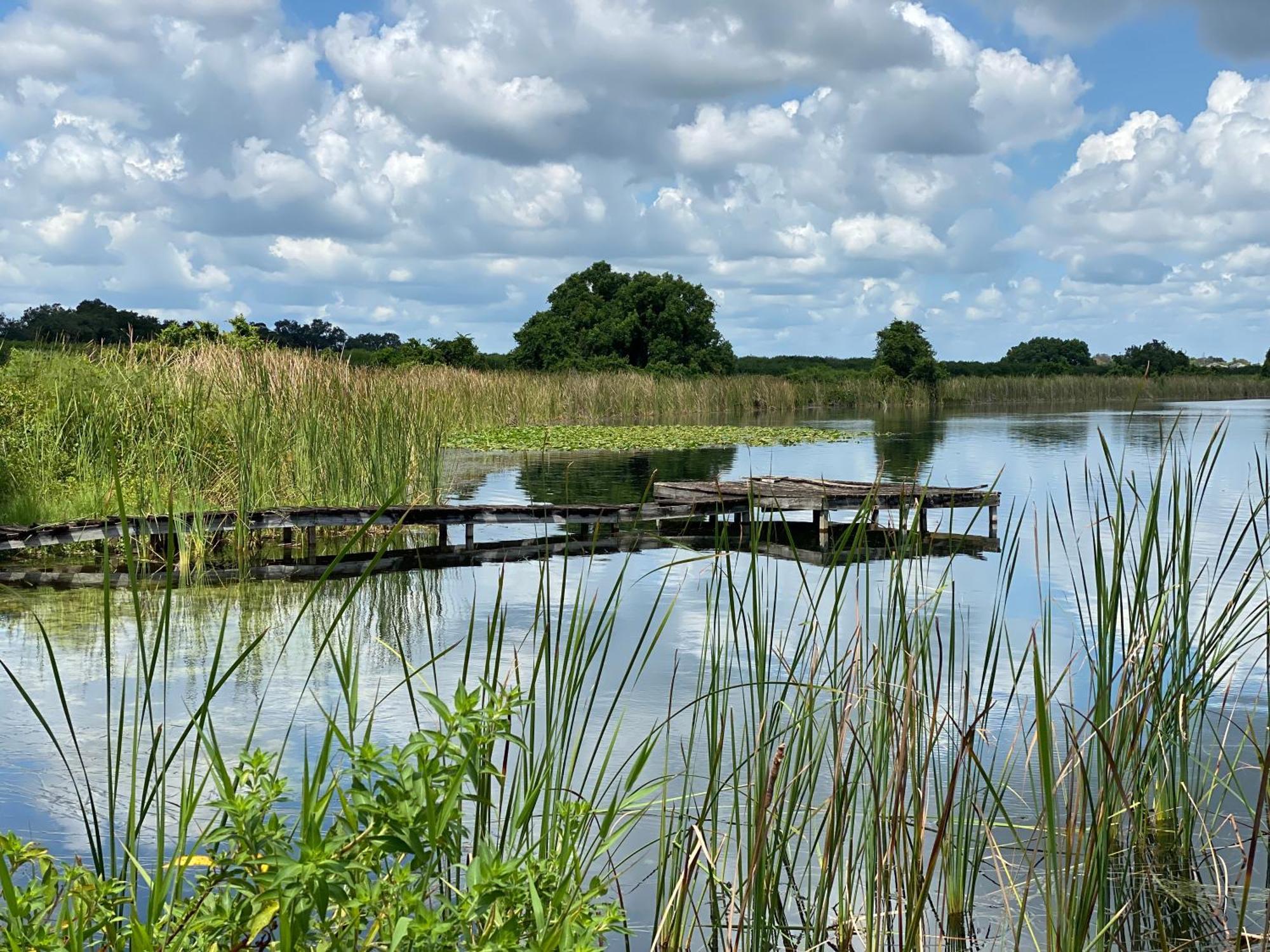 The Scandinavian Contemporary Blauw Lake Alfred Ngoại thất bức ảnh
